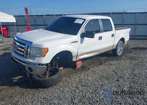 2009 Ford F-150 Fx4/King Ranch/Lariat/Platinum/Xl/Xlt z USA, uszkodzony, nr VIN 1FTPW14V79KC93700